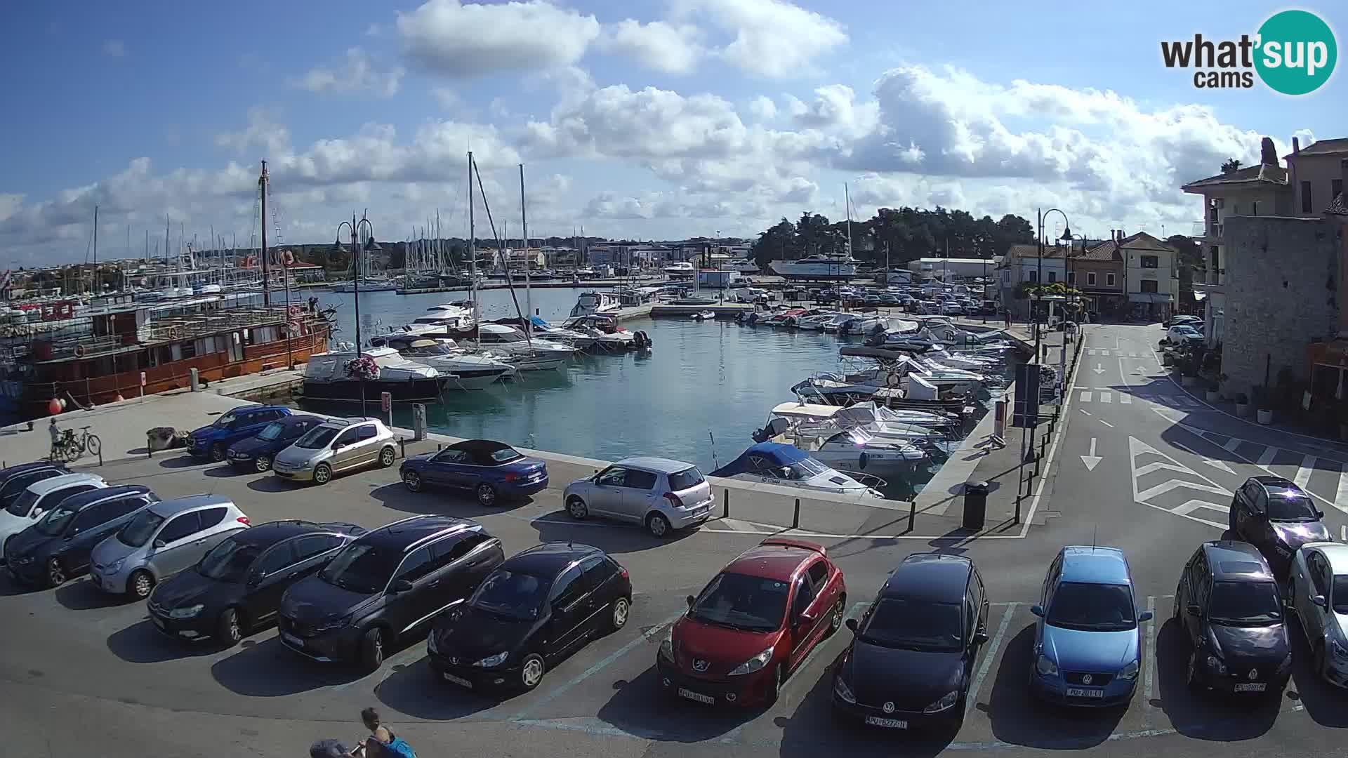 Novigrad | Porporela marina