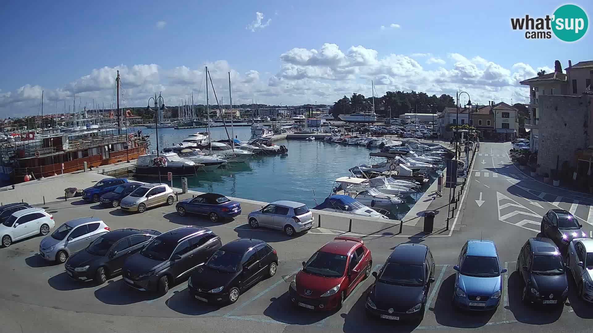 Novigrad | Porporela marina
