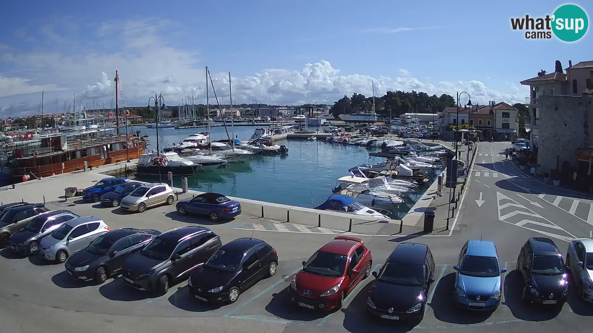 Novigrad | Porporela marina