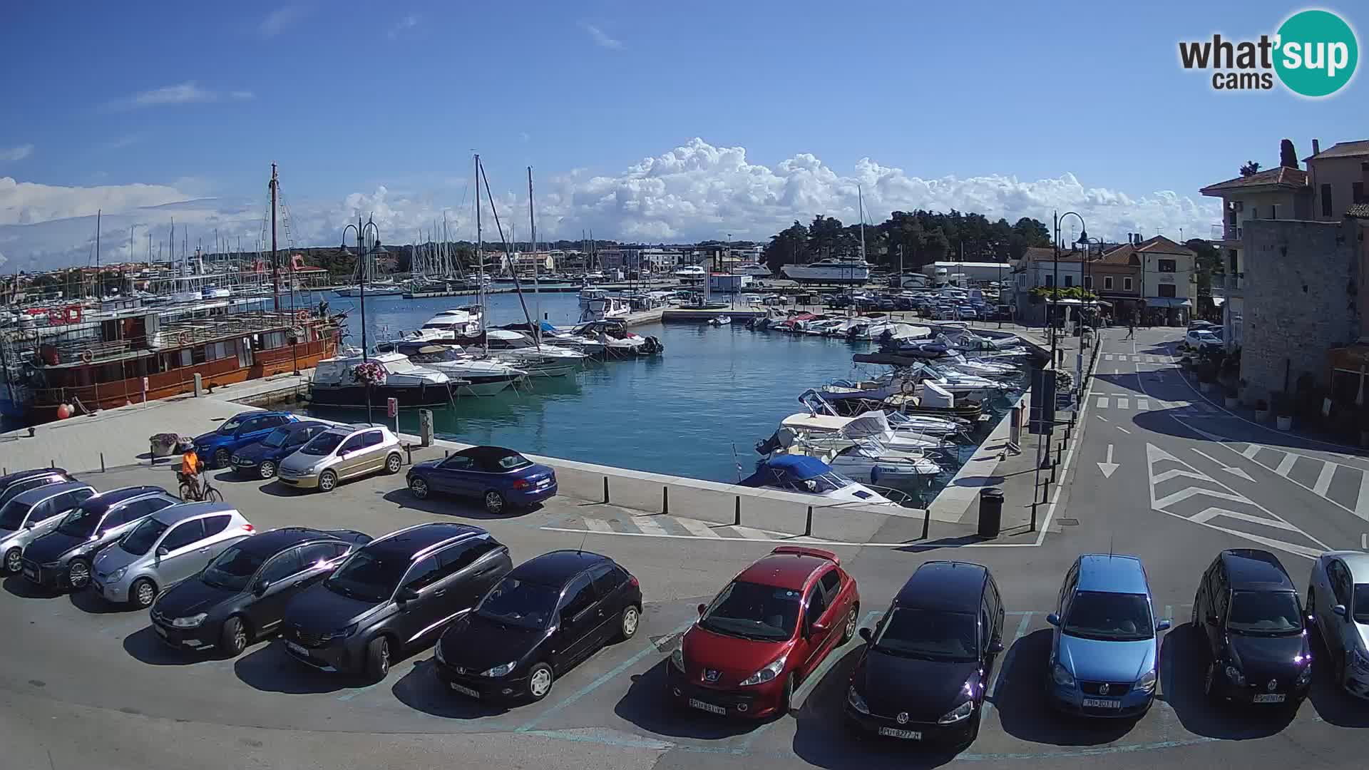 Novigrad | Porporela marina