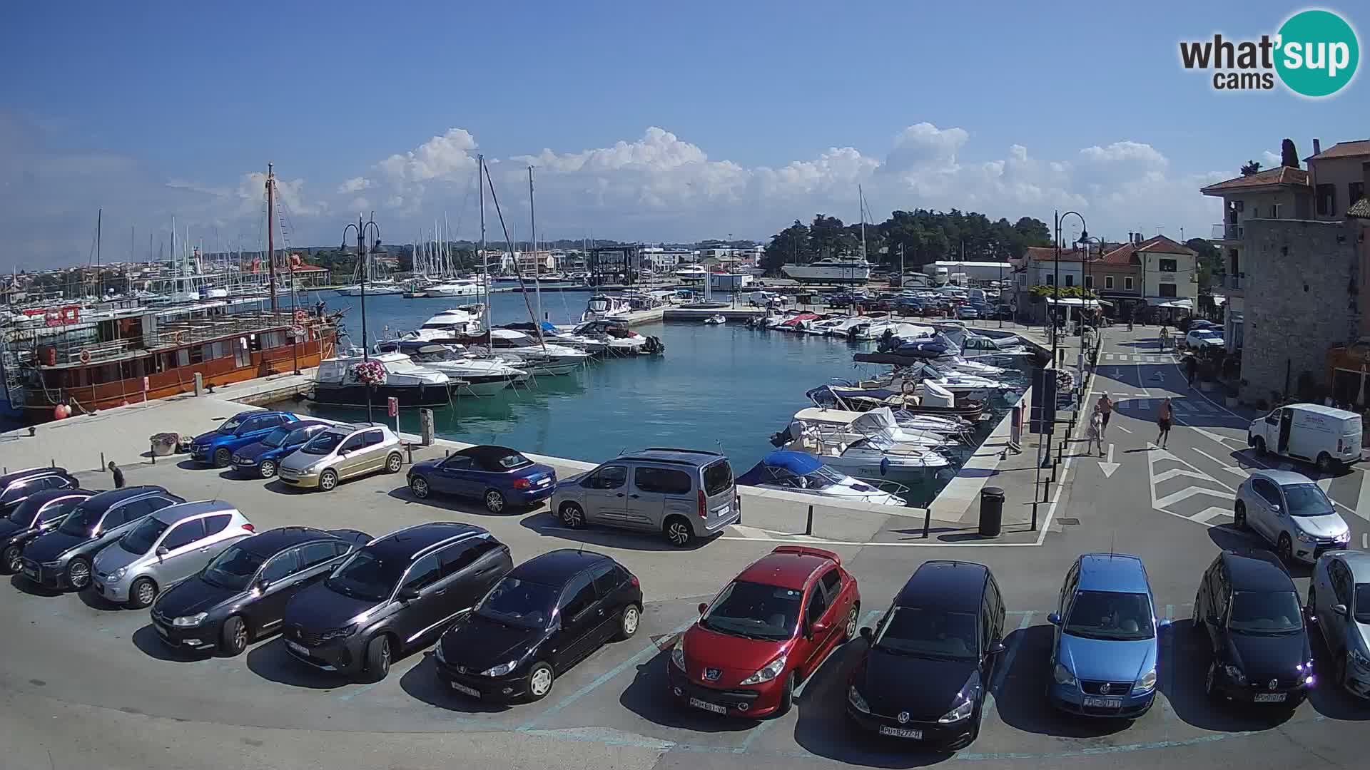 Novigrad | Porporela marina