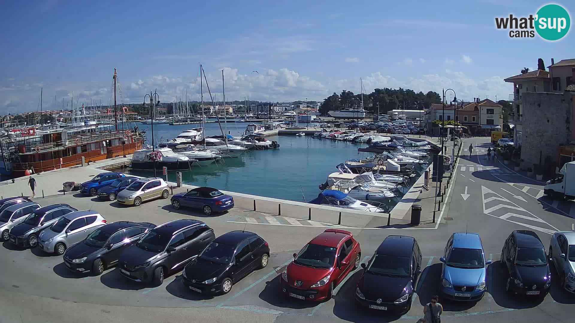 Novigrad | Porporela marina
