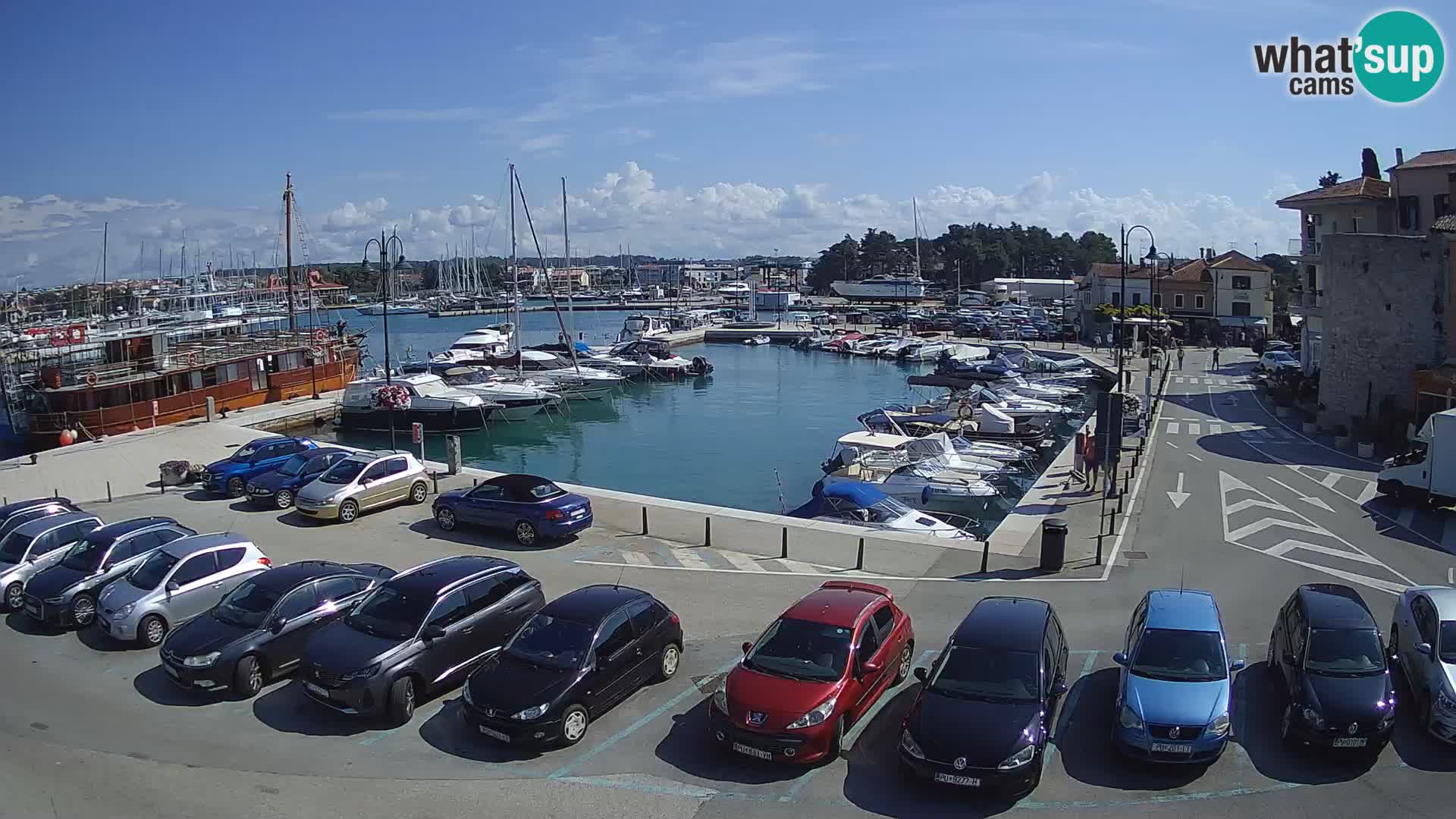 Novigrad | Porporela marina
