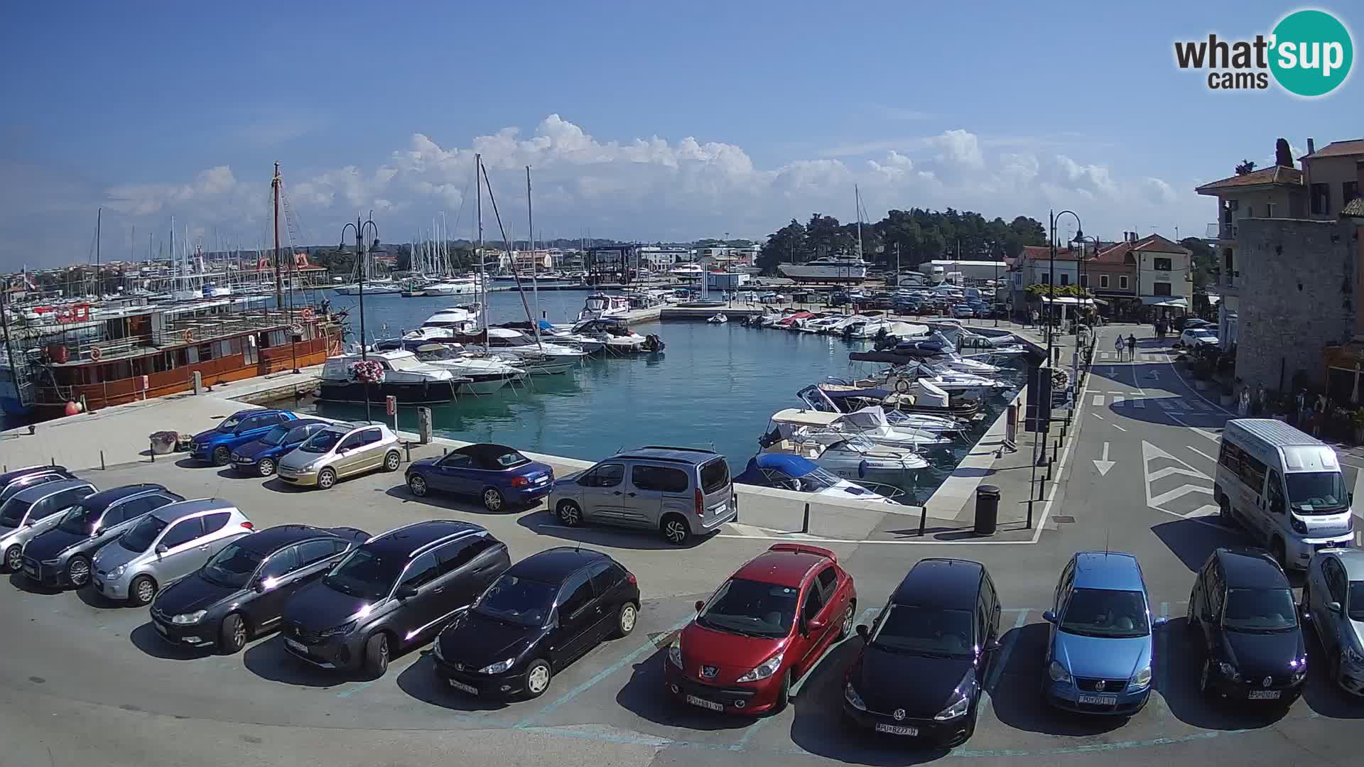 Novigrad | Porporela marina
