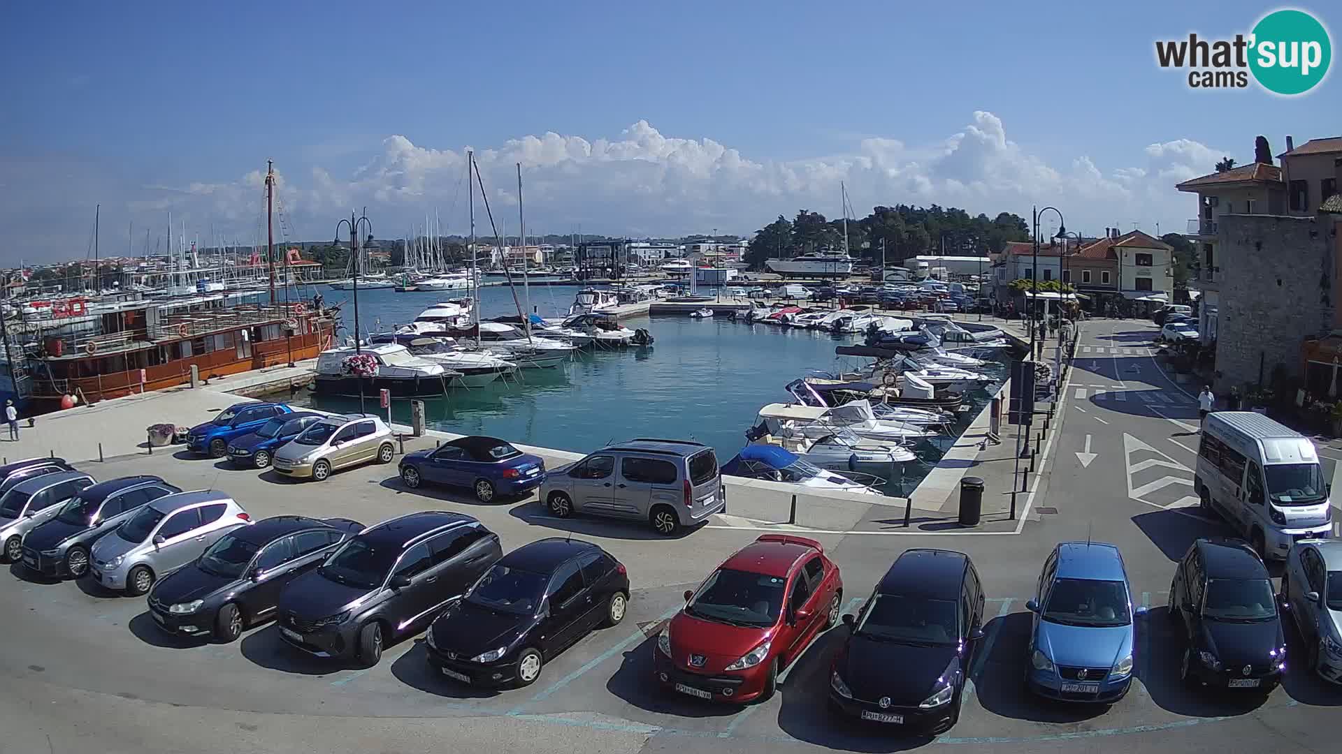 Novigrad | Porporela marina