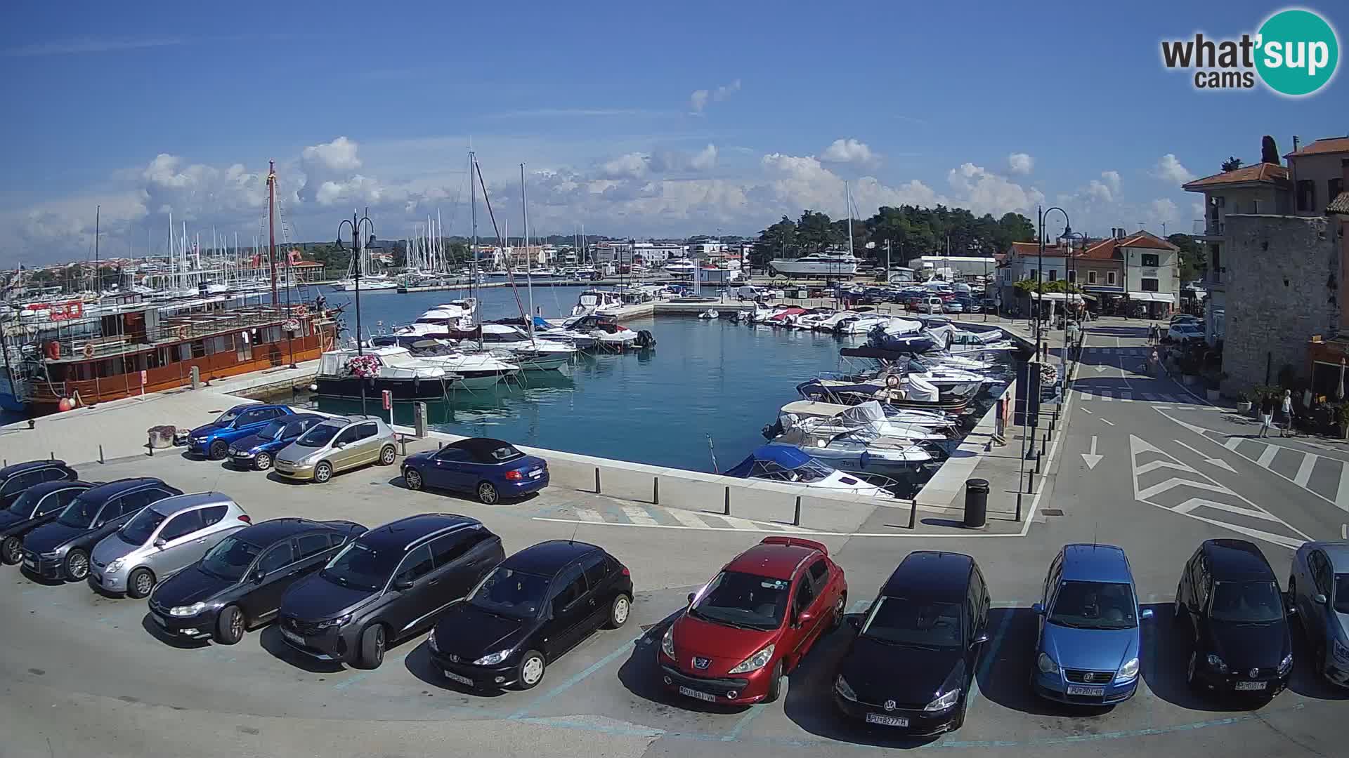 Novigrad | Porporela marina
