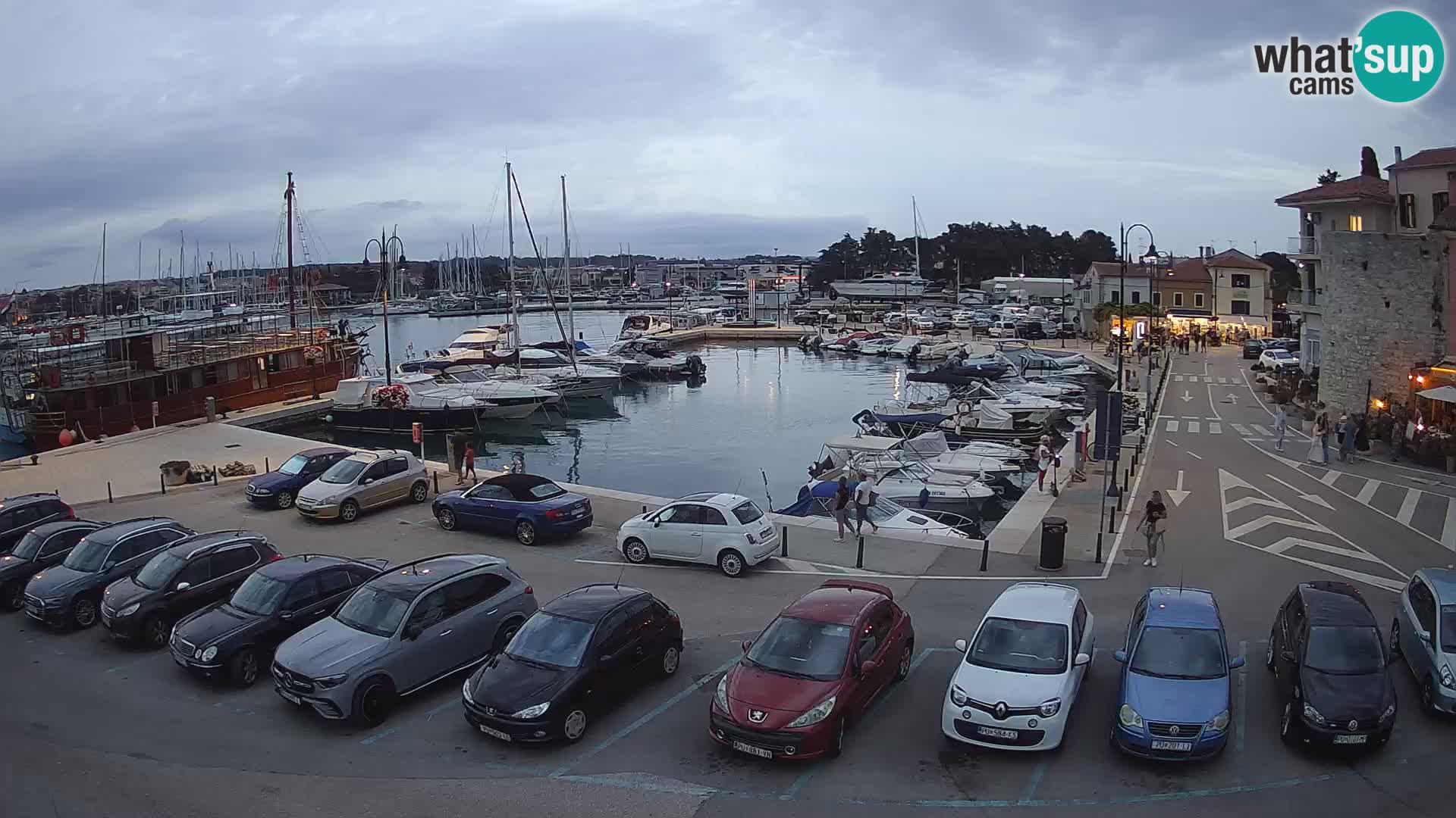 Novigrad | Porporela marina