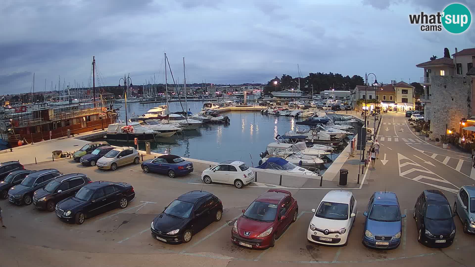 Novigrad | Porporela marina