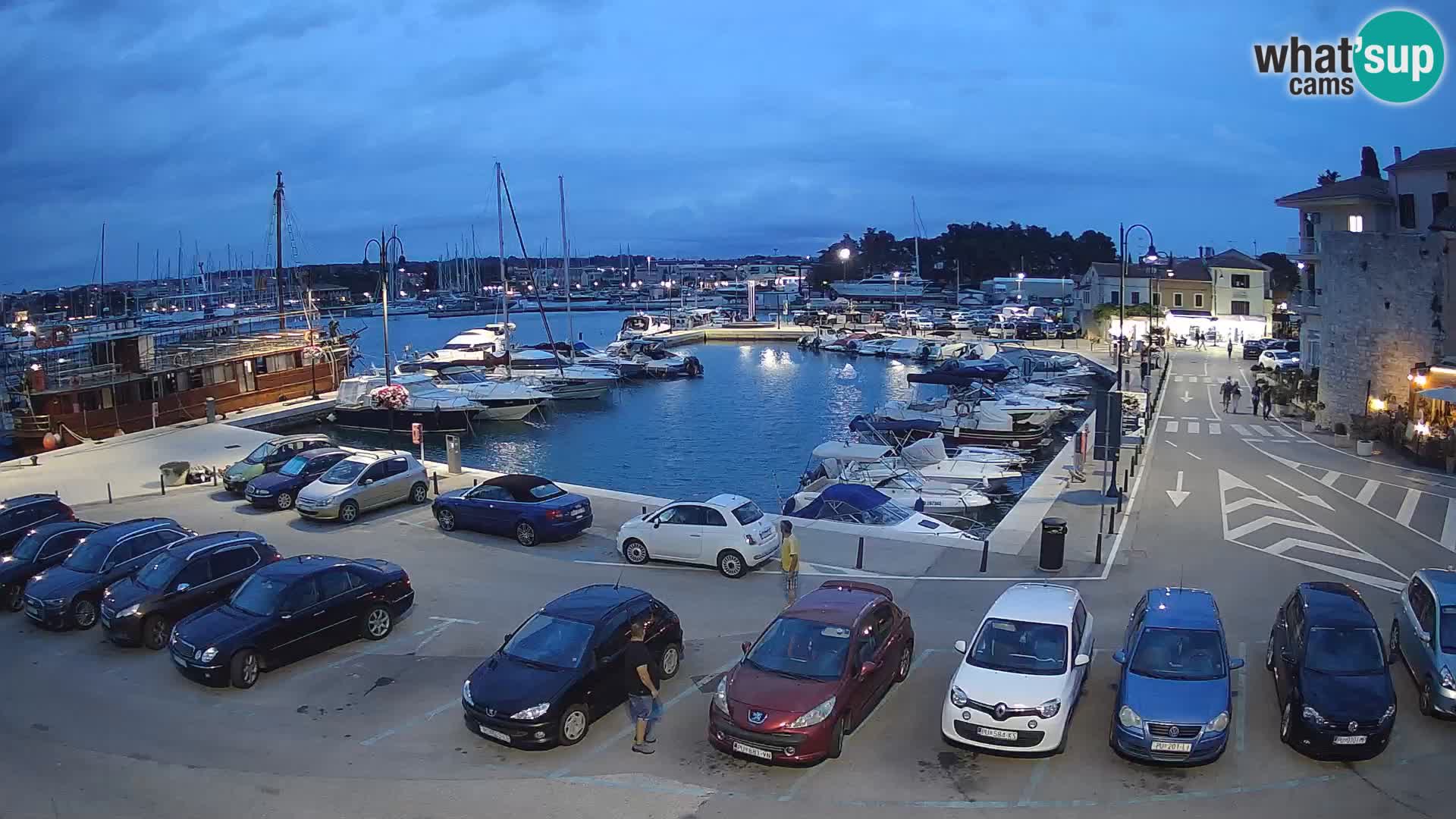 Novigrad | Porporela marina