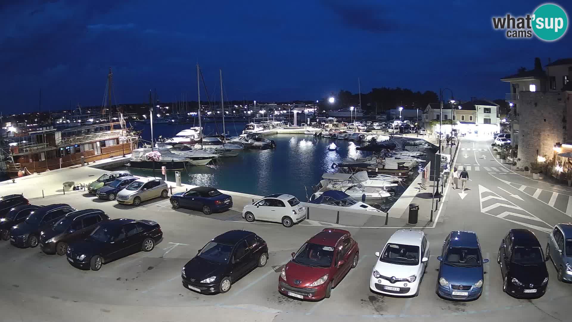 Novigrad | Porporela marina