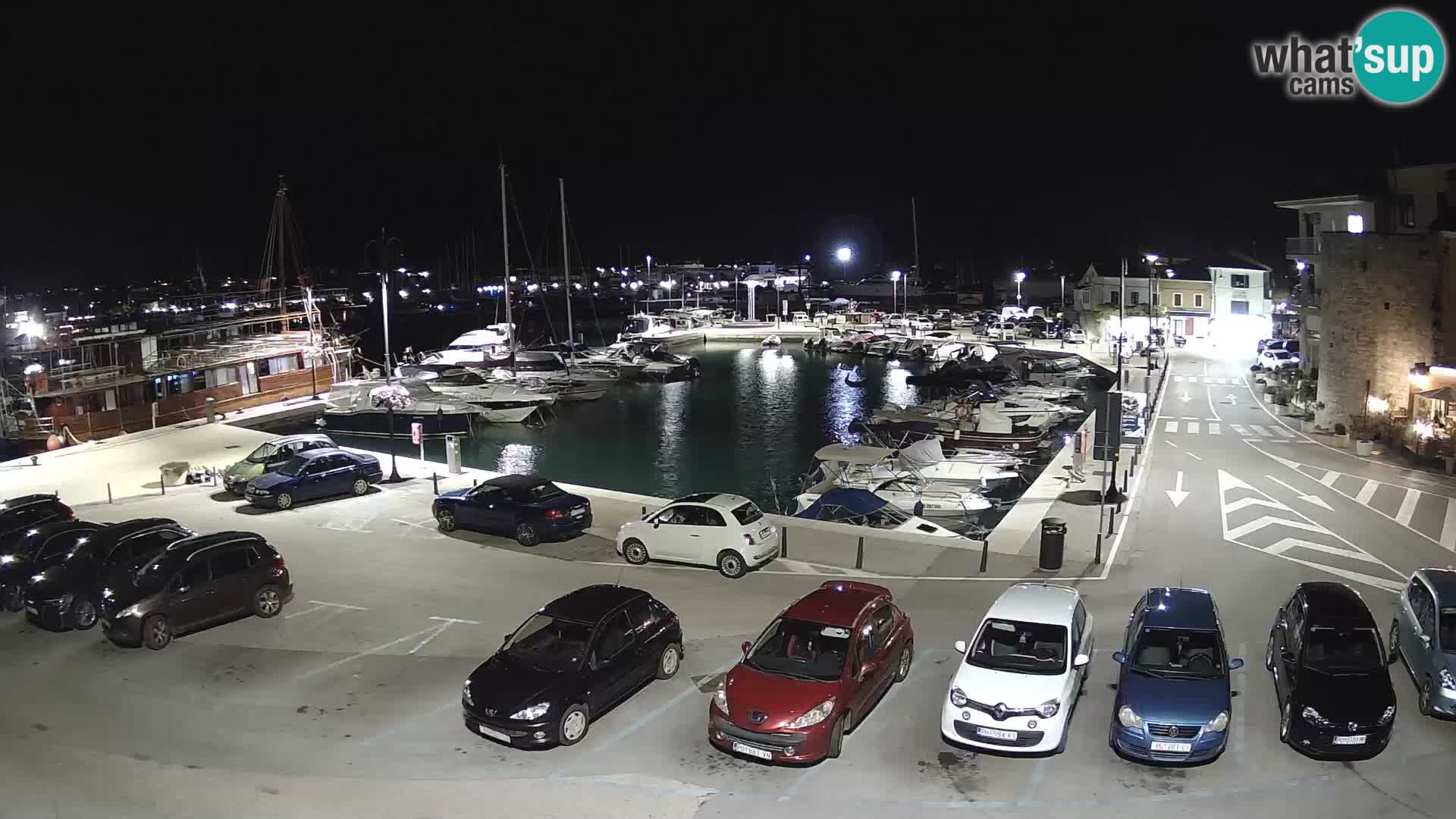 Novigrad | Porporela marina