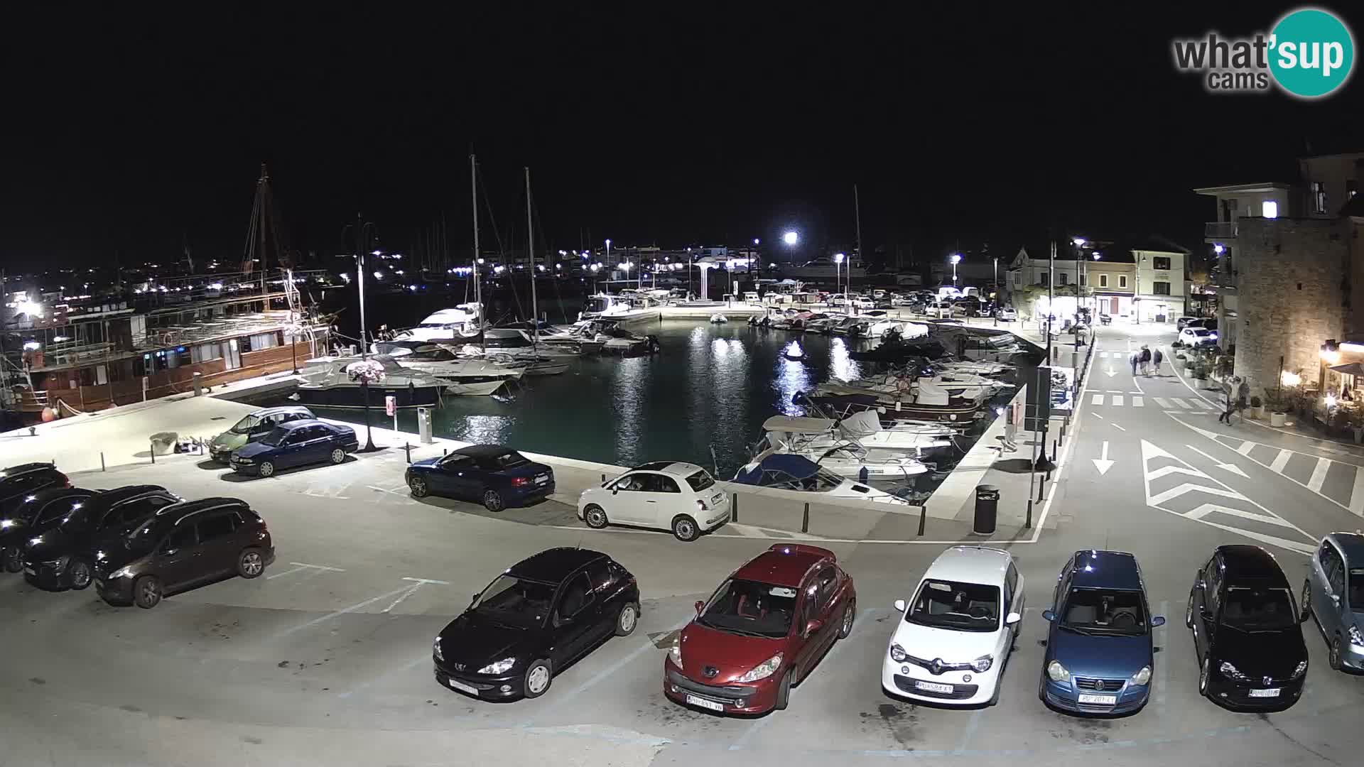 Novigrad | Porporela marina