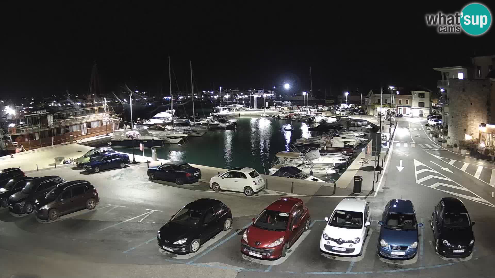 Novigrad | Porporela marina