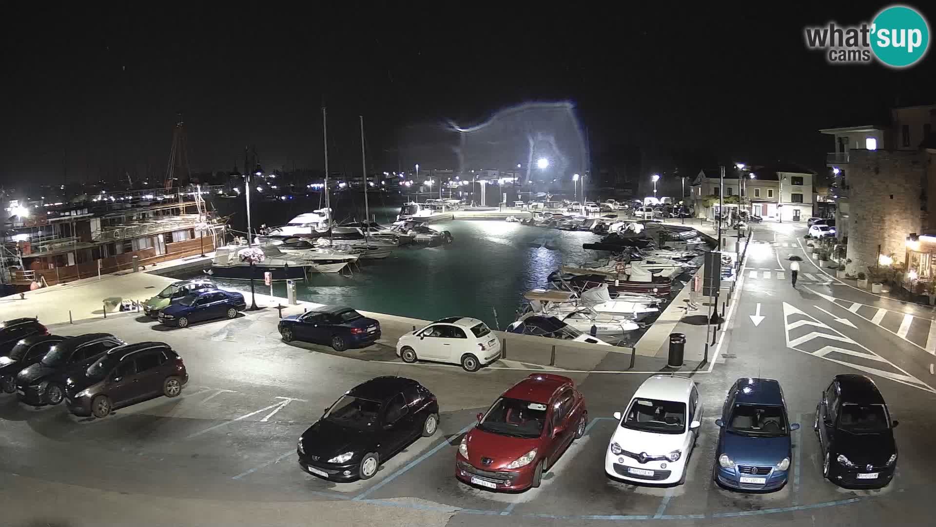 Novigrad | Porporela marina