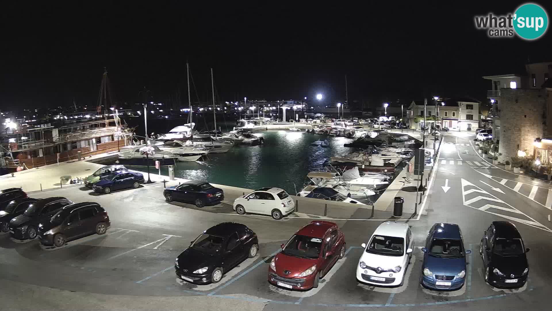 Novigrad | Porporela marina