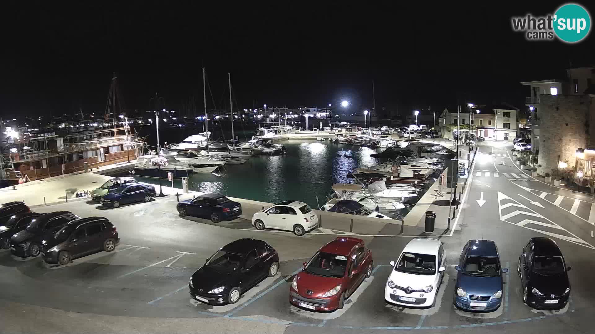 Novigrad | Porporela marina