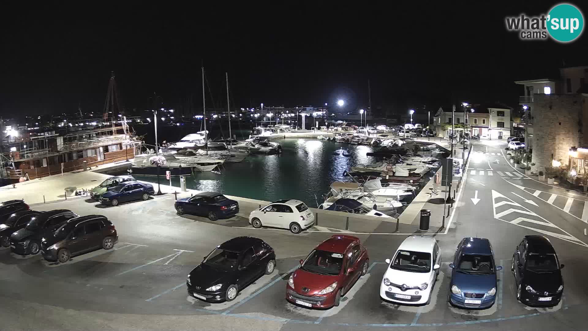 Novigrad | Porporela marina