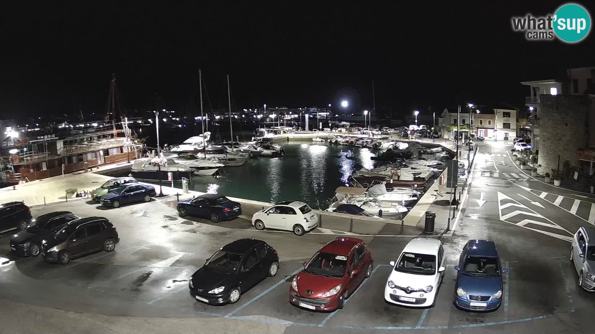 Novigrad | Porporela marina