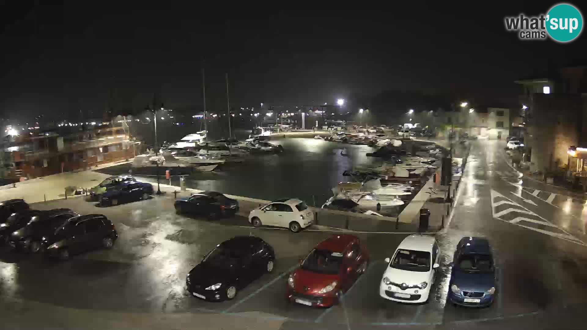 Novigrad | Porporela marina