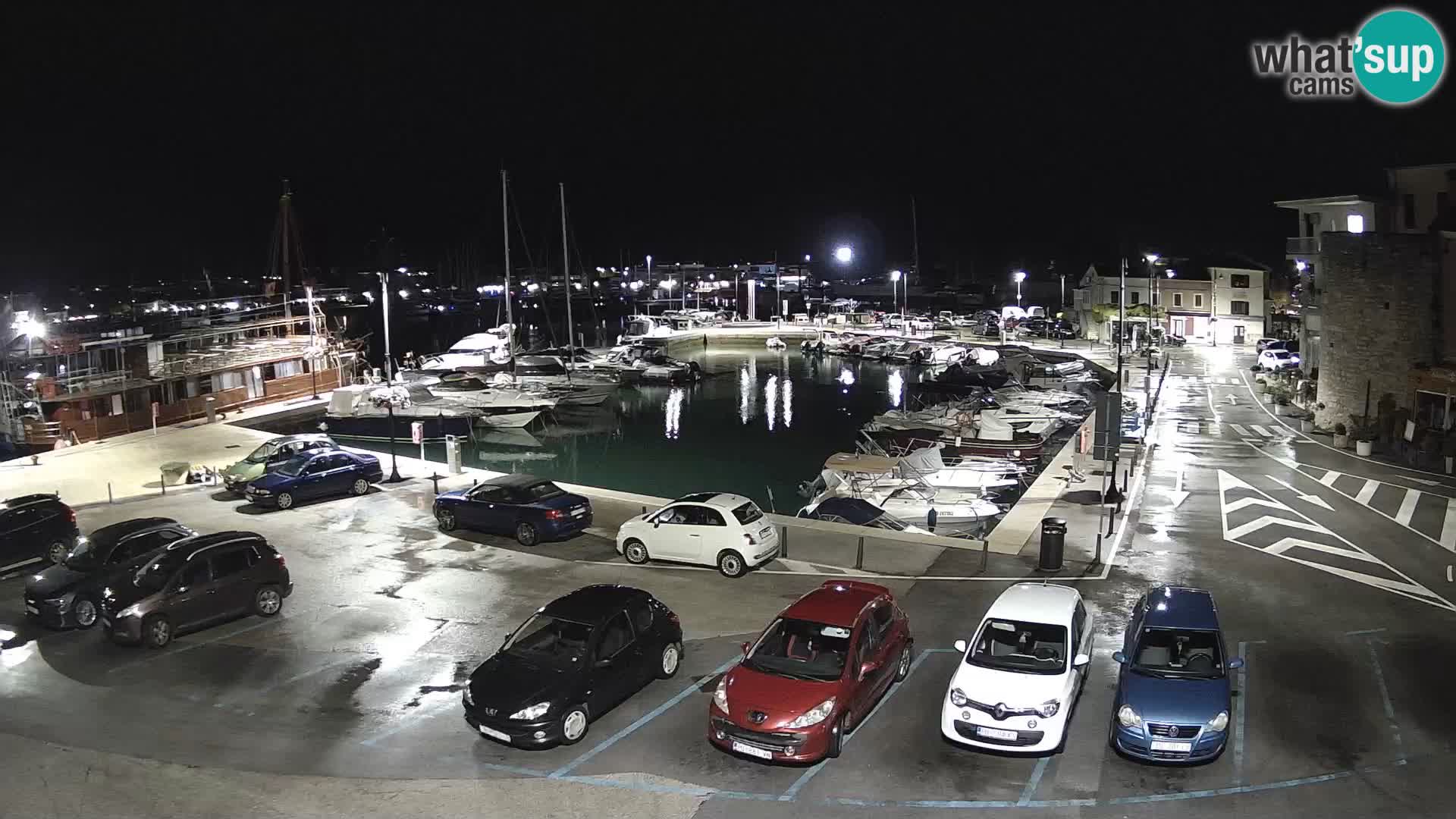 Novigrad | Porporela marina