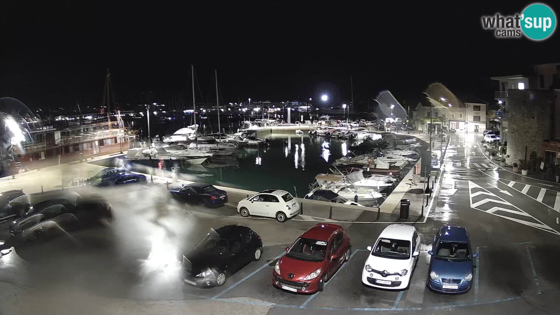 Novigrad | Porporela marina