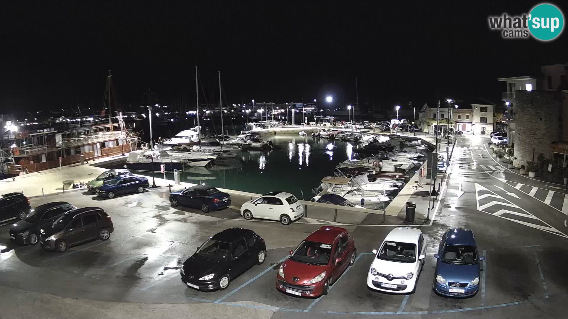 Novigrad | Porporela marina
