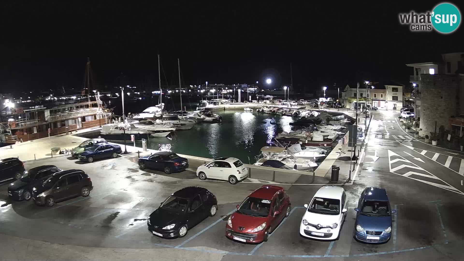 Novigrad | Porporela marina