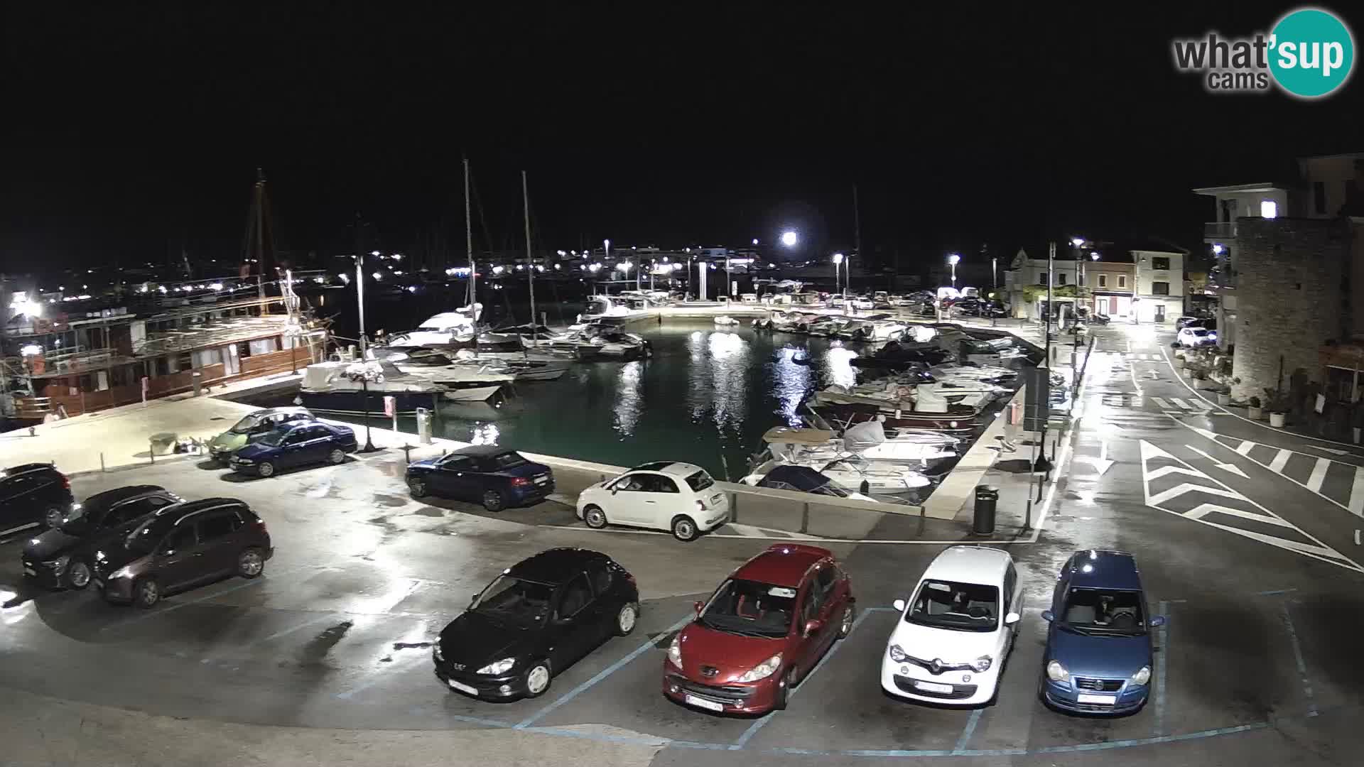 Novigrad | Porporela marina