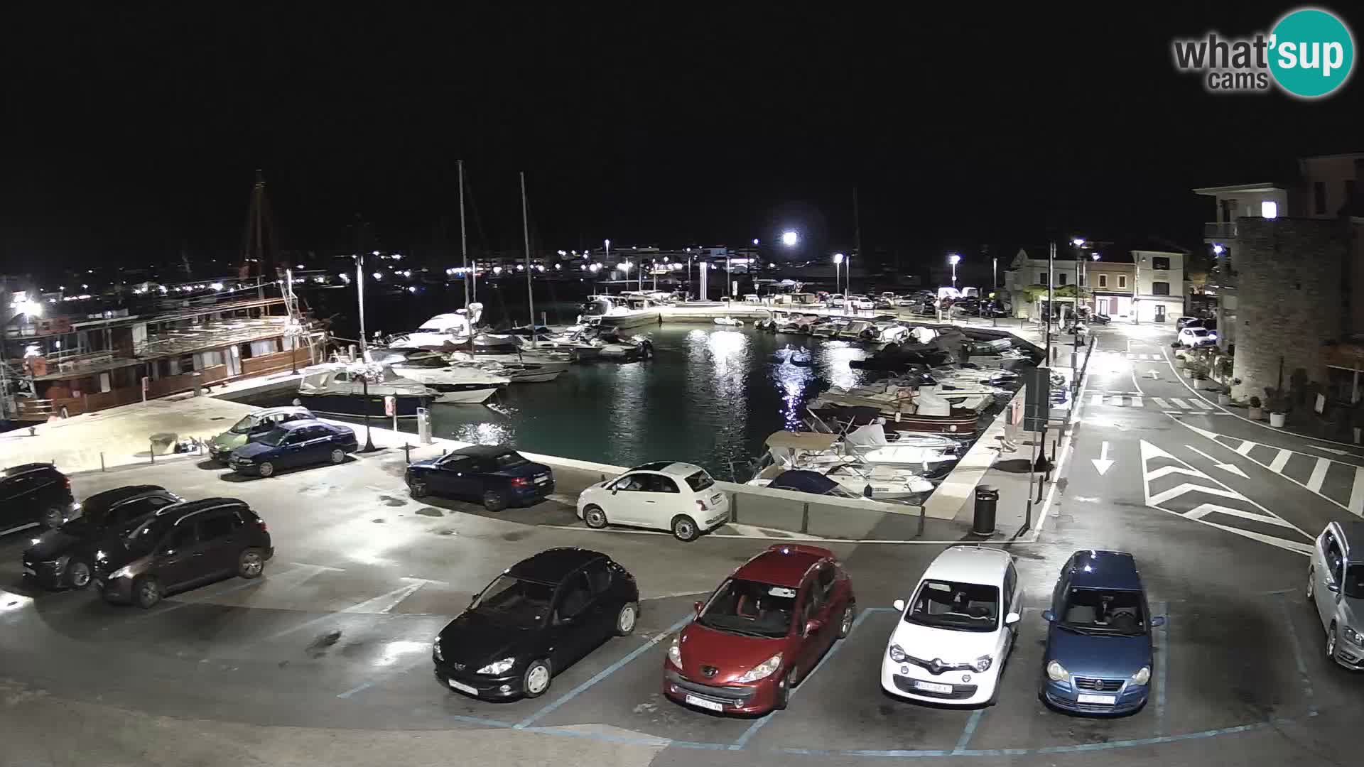 Novigrad | Porporela marina