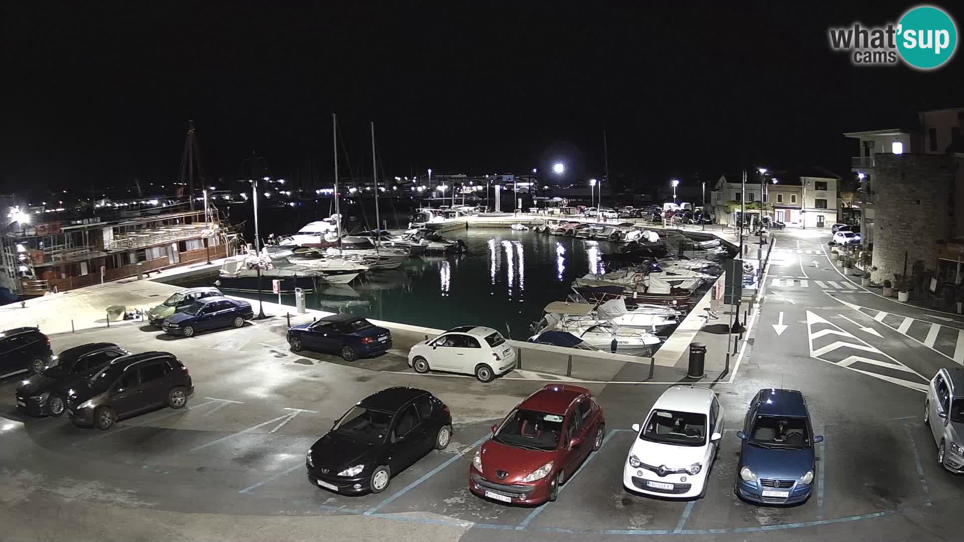 Novigrad | Porporela marina