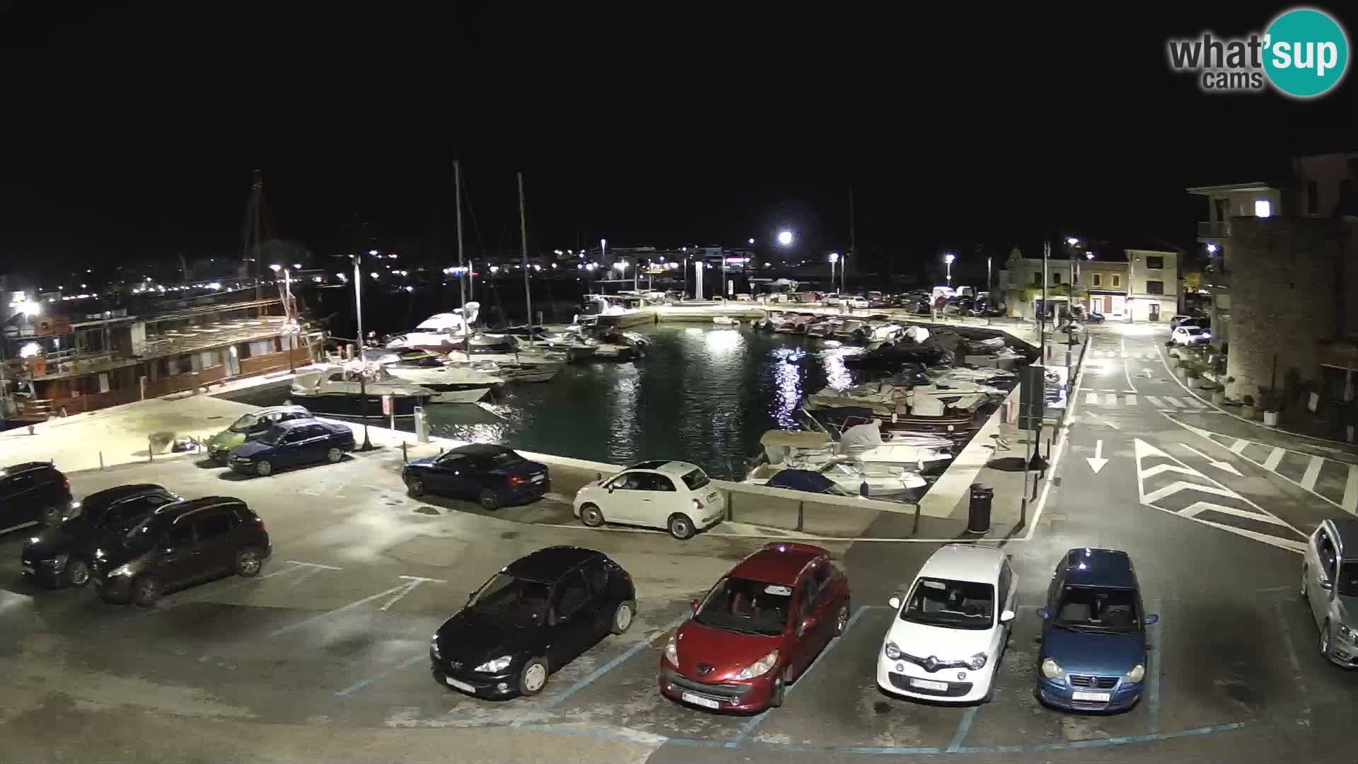 Novigrad | Porporela marina