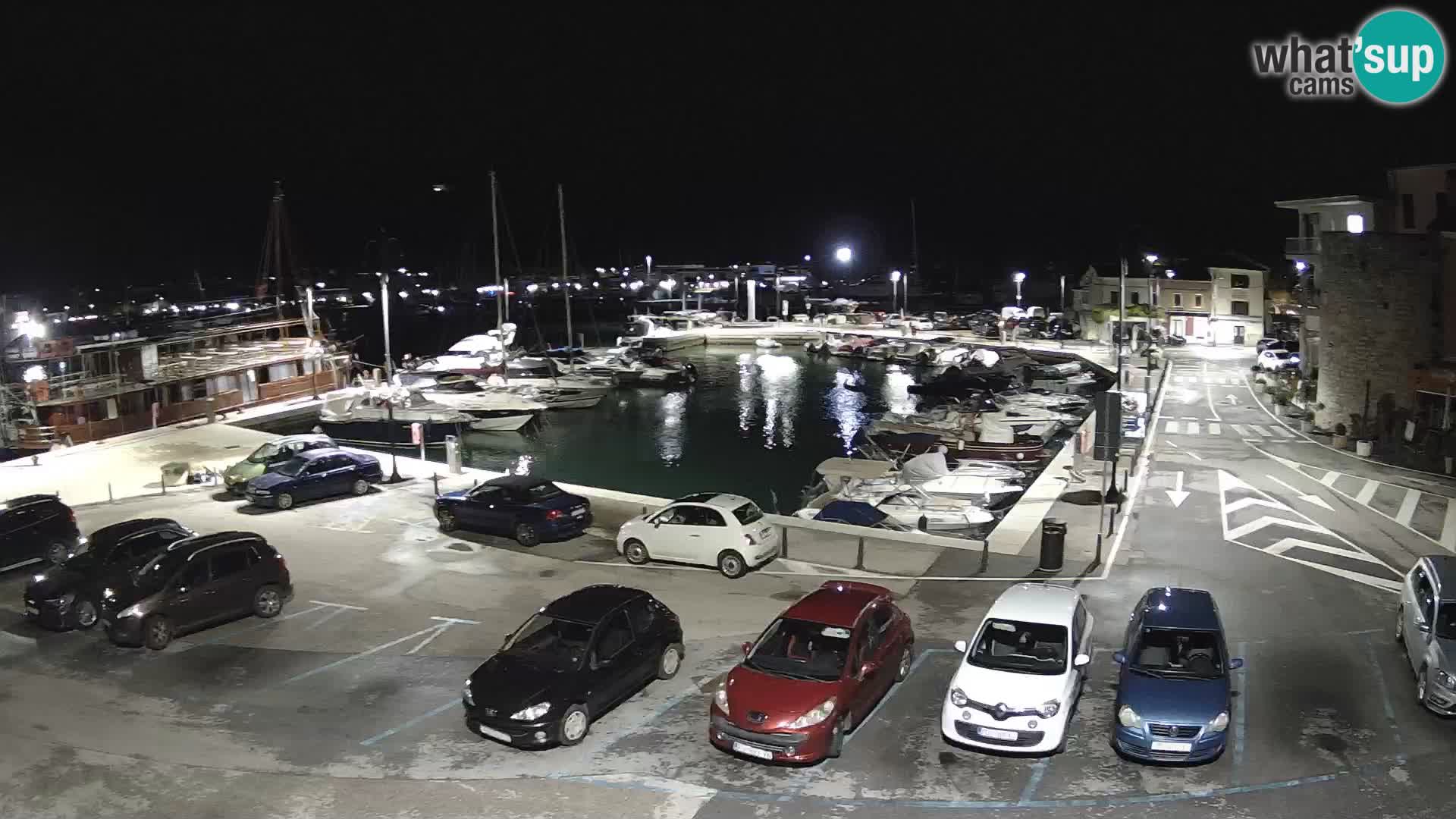 Novigrad | Porporela marina