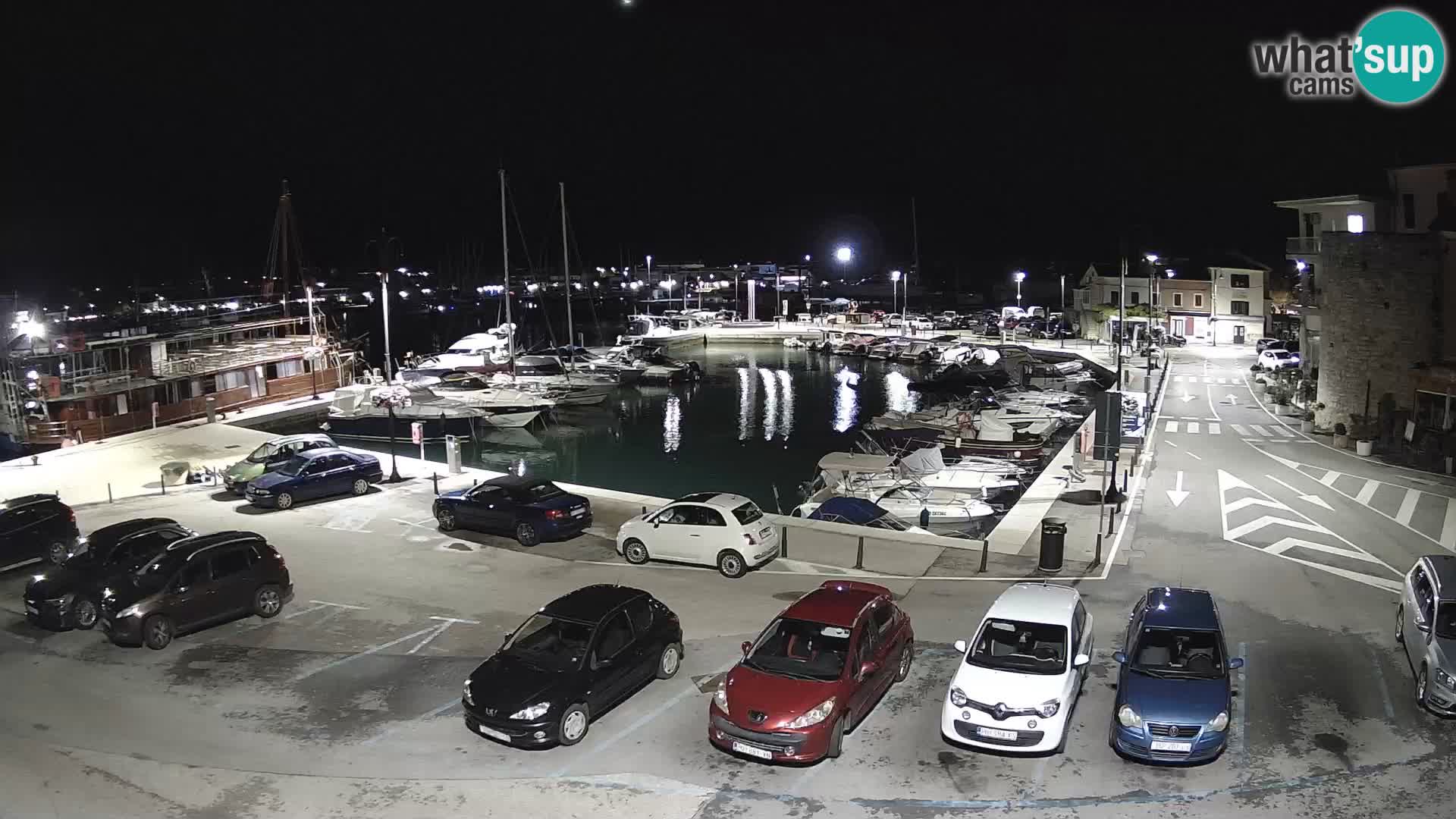 Novigrad | Porporela marina