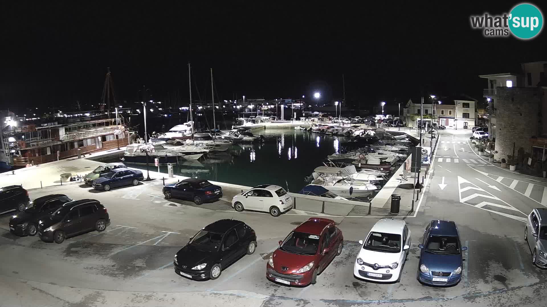 Novigrad | Porporela marina