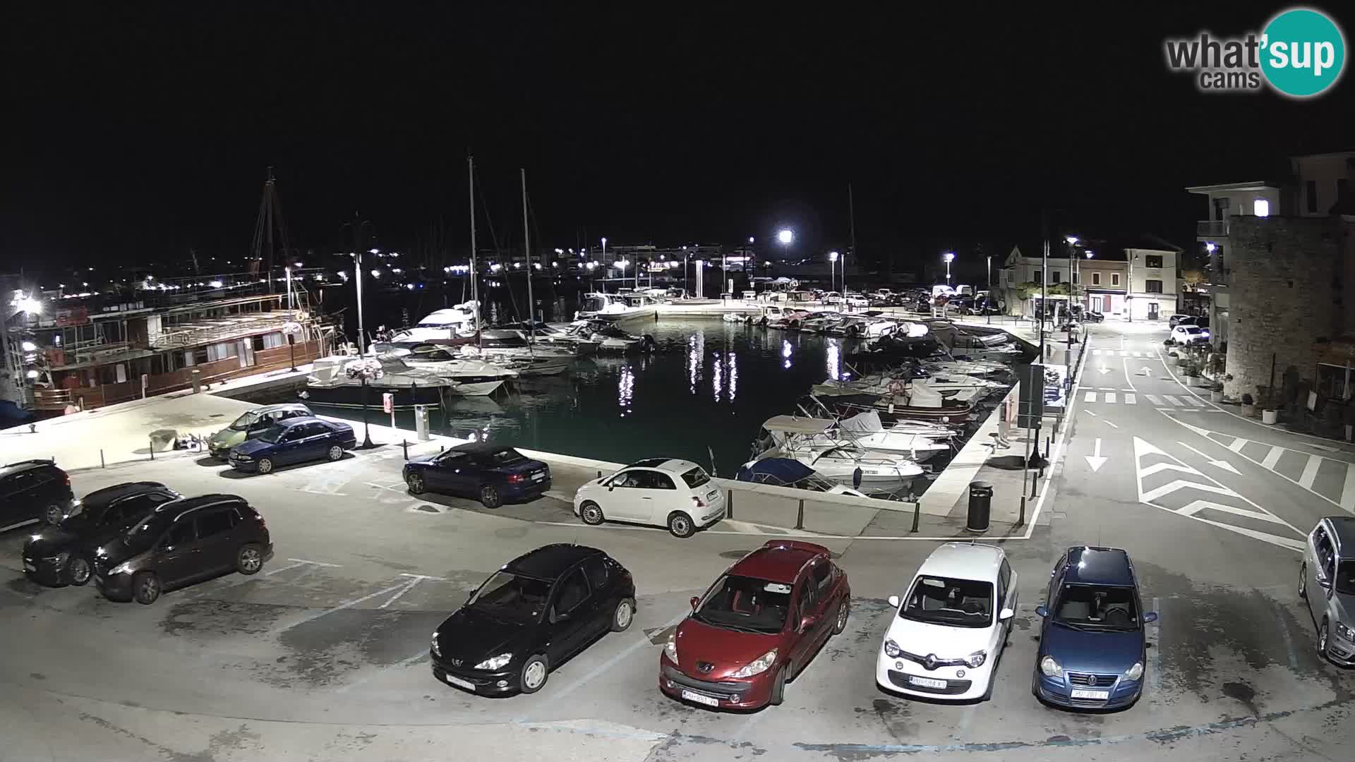 Novigrad | Porporela marina
