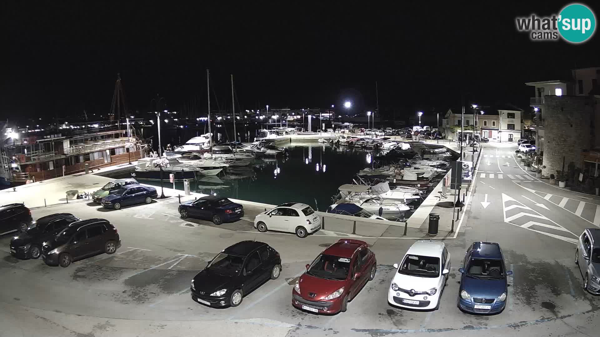 Novigrad | Porporela marina