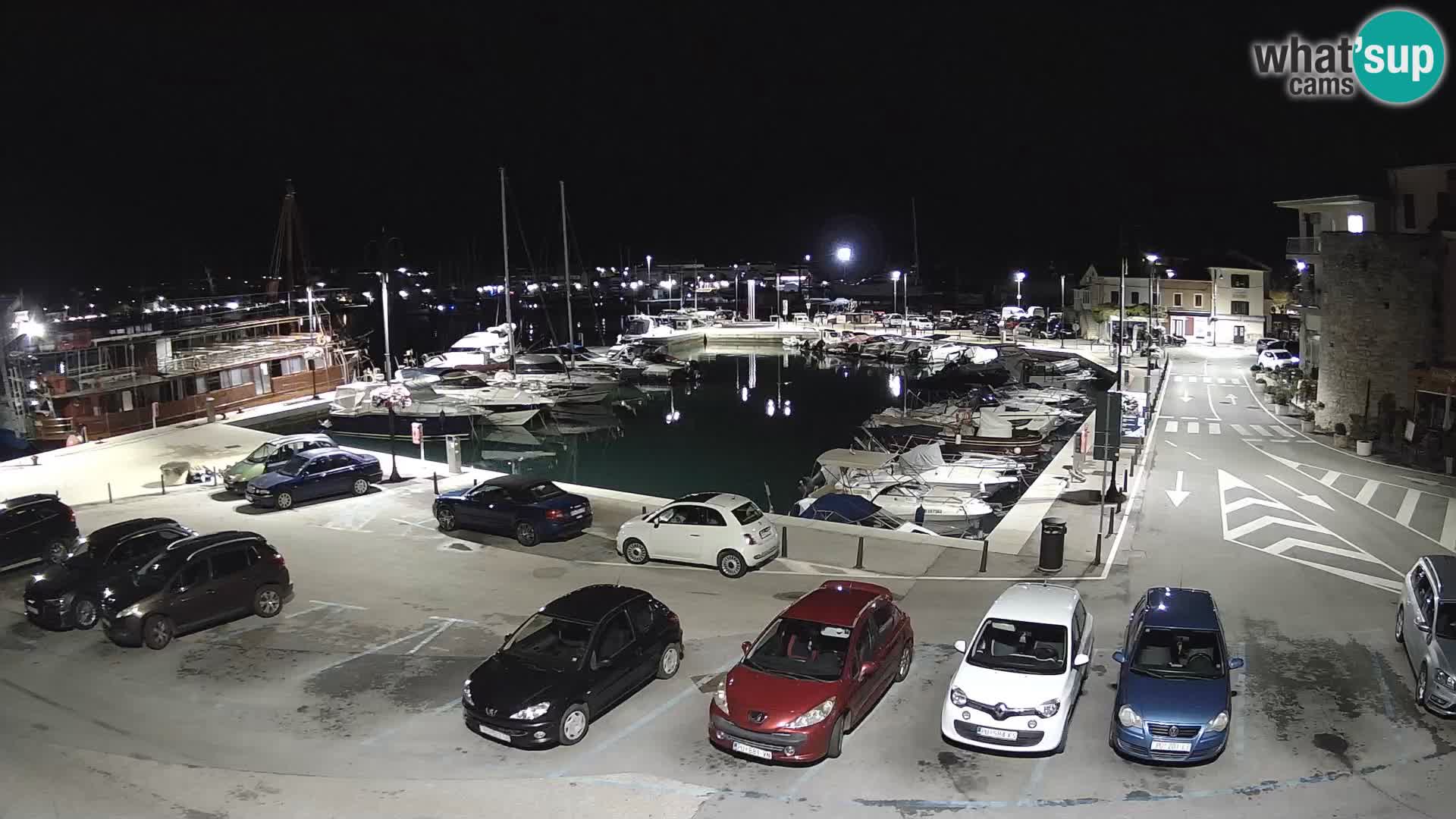 Novigrad | Porporela marina
