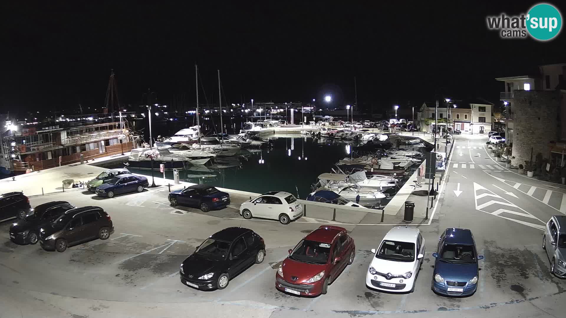 Novigrad | Porporela marina