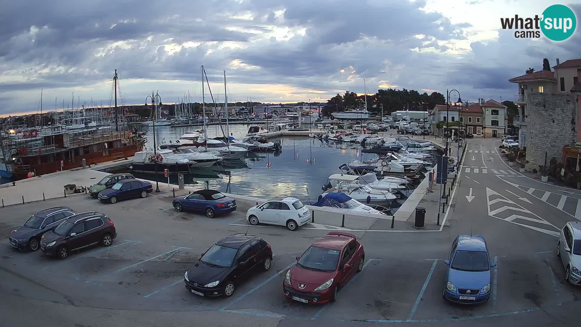 Novigrad | Porporela marina