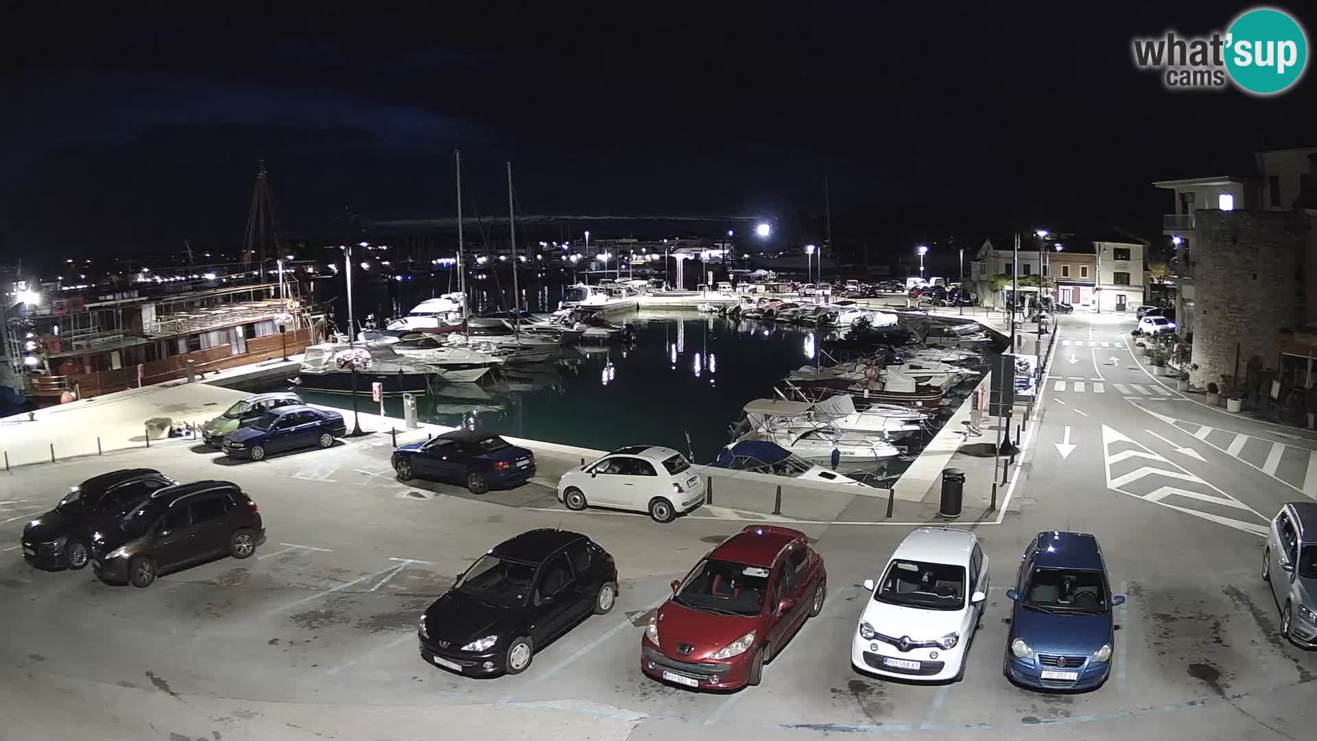 Novigrad | Porporela marina