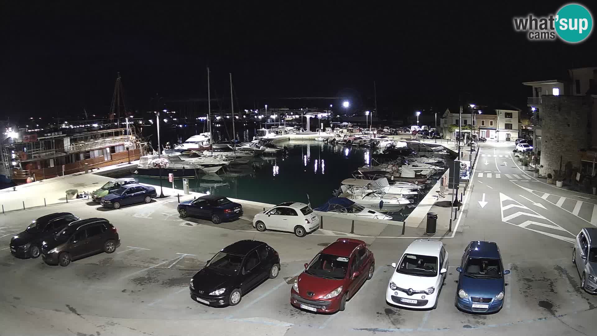 Novigrad | Porporela marina
