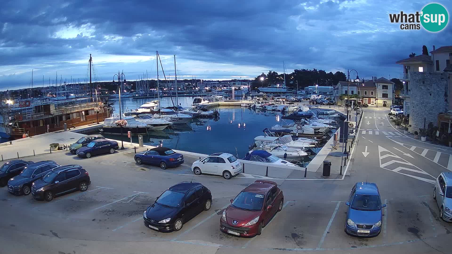 Novigrad | Porporela marina