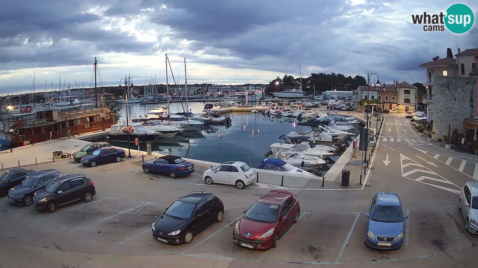 Novigrad | Porporela marina