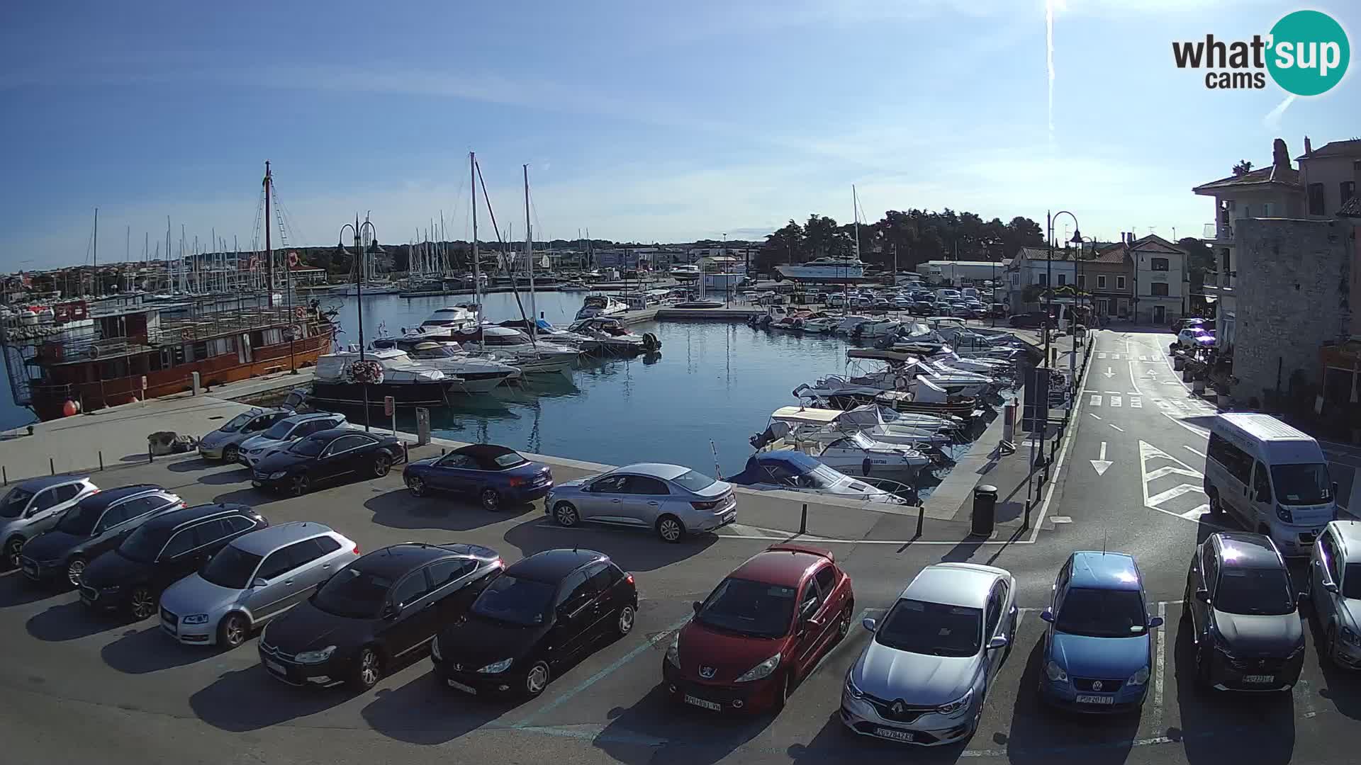Novigrad | Porporela marina