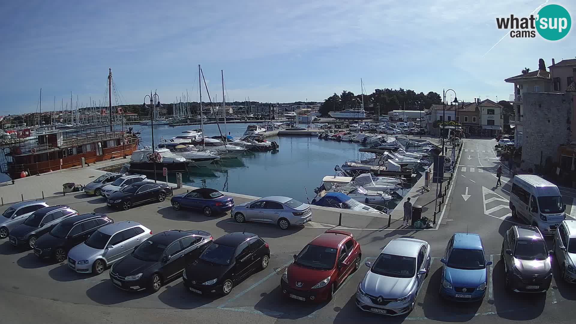 Novigrad | Porporela marina