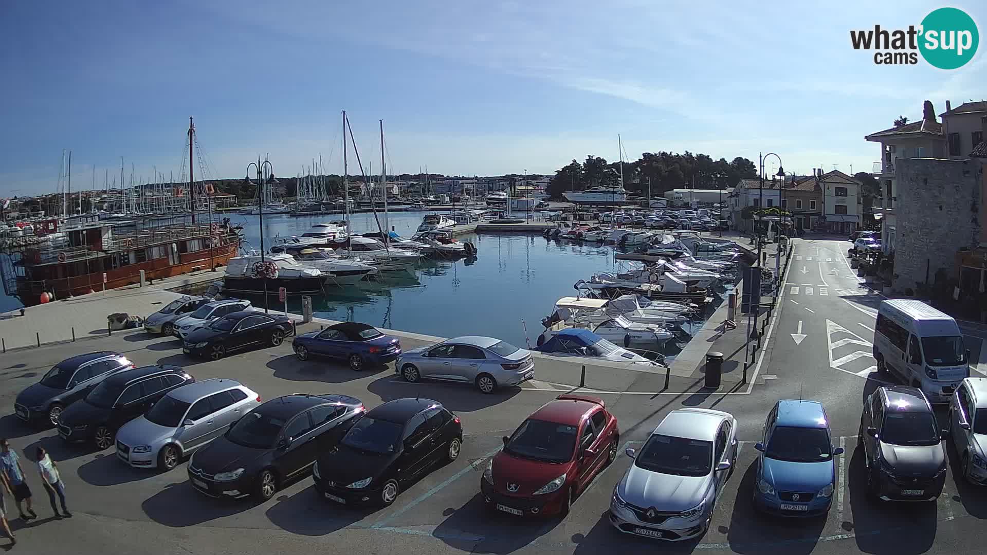 Novigrad | Porporela marina