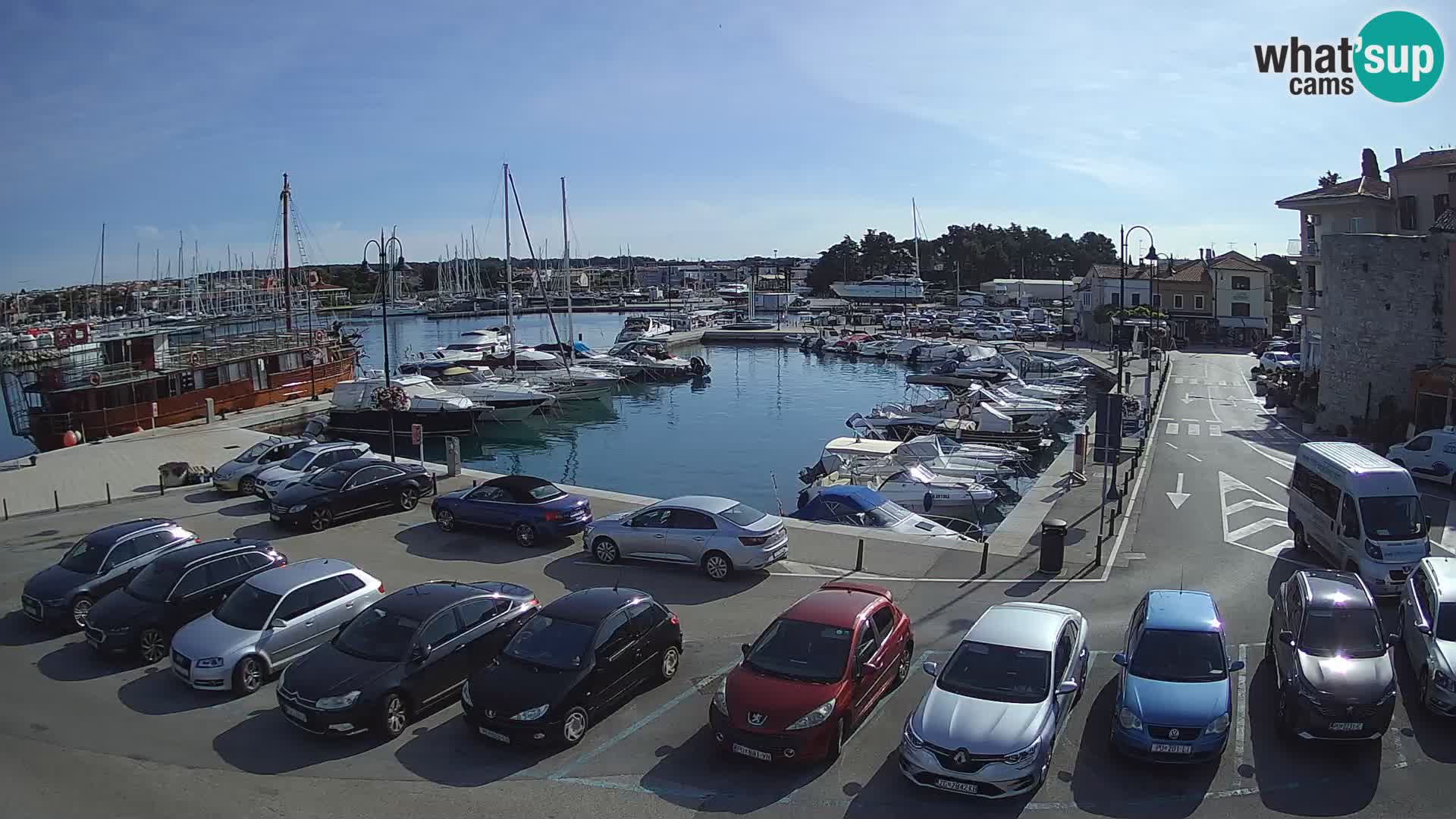 Novigrad | Porporela marina
