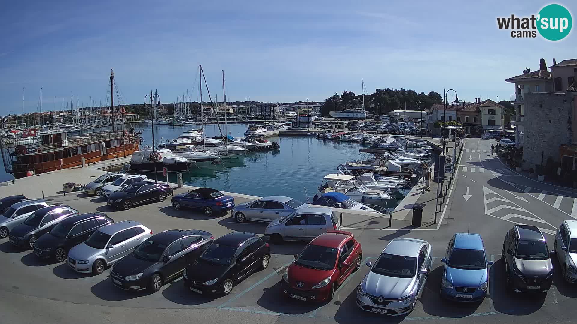 Novigrad | Porporela marina