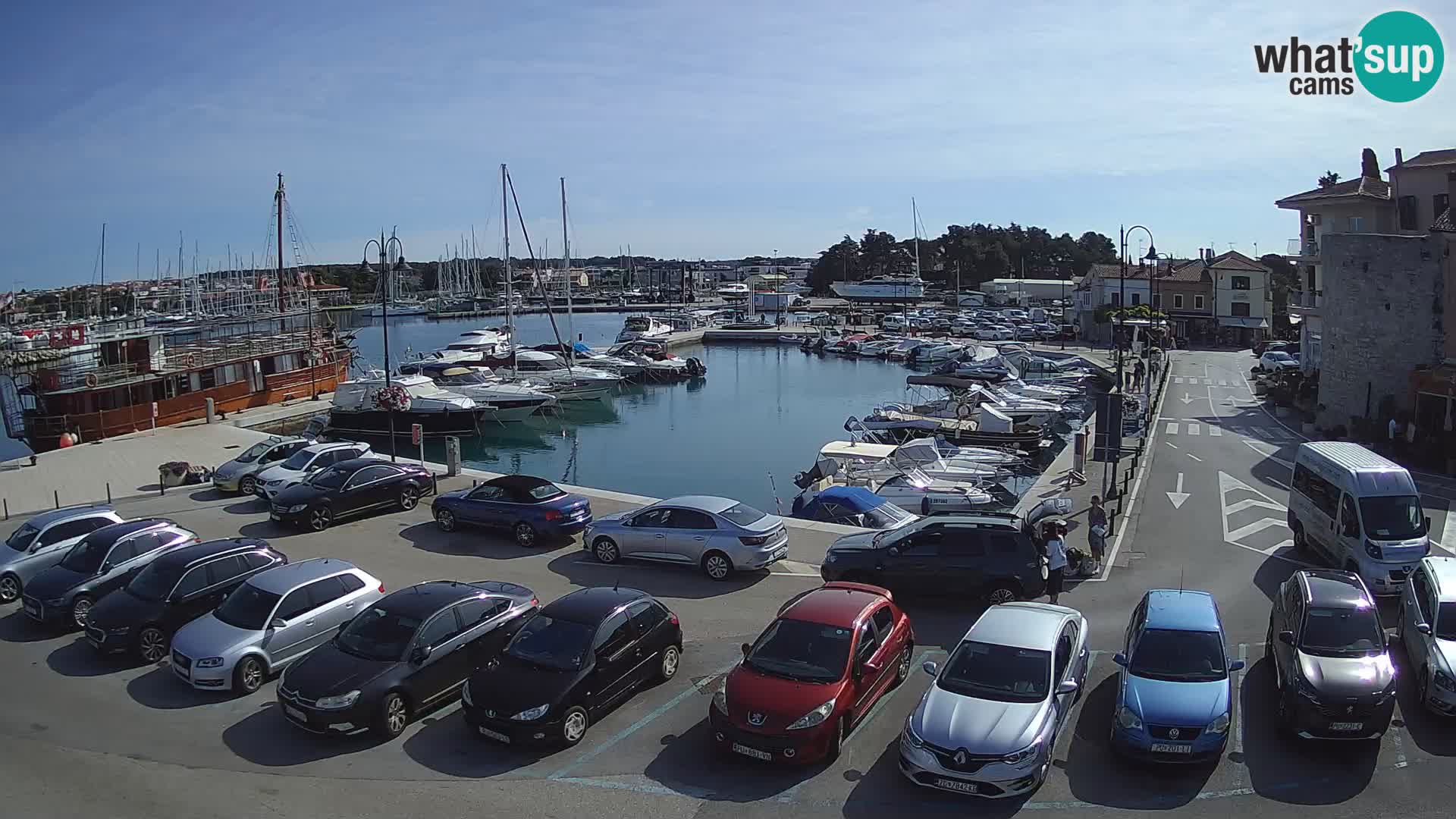 Novigrad | Porporela marina