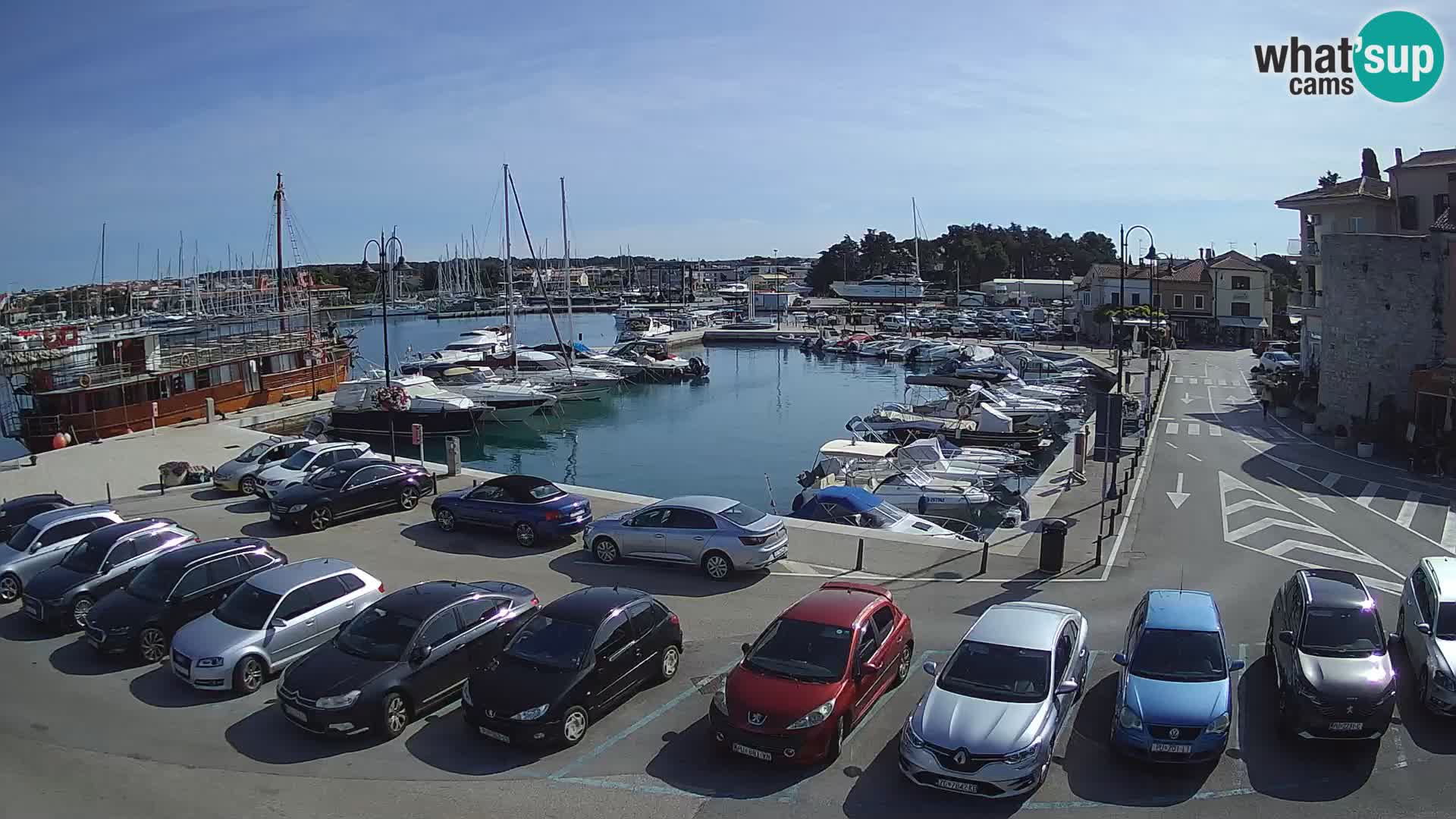Novigrad | Porporela marina